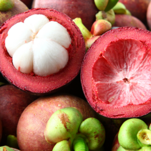 泰國山竹嫁接苗