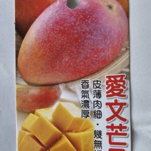愛文芒果