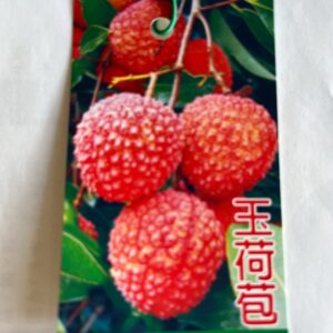 玉荷包荔枝