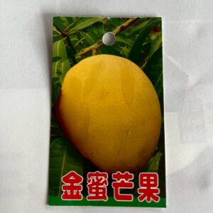 金蜜芒果