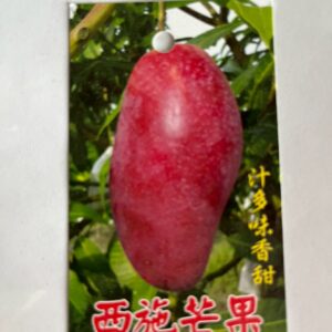 西施芒果