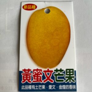 黃蜜文芒果