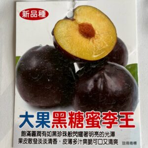大果黑糖蜜李王