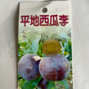 平地西瓜李