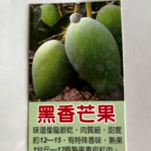 黑香芒果