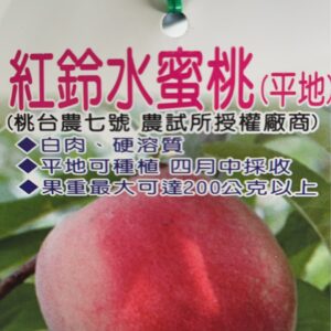 紅鈴水蜜桃(桃台農七號)