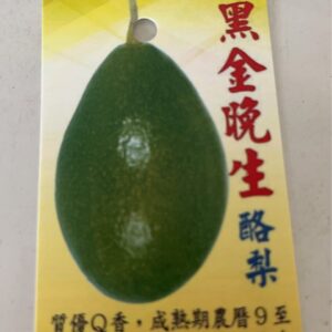 黑金晚生酪梨
