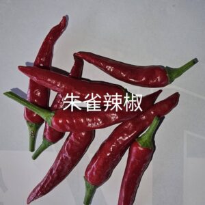 朱雀辣椒