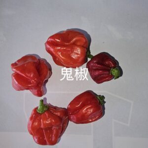 鬼椒