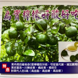 扁實檸檬(台灣香檬)