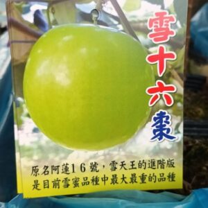 雪十六棗