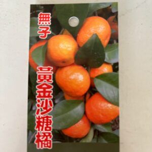 黃金砂糖橘