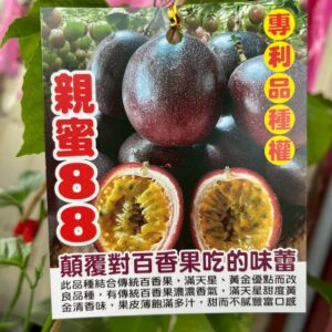 親蜜88百香果
