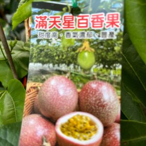 滿天星百香果
